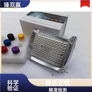 人单核细胞趋化蛋白1(MCP-1;CCL2)ELISA试剂盒,Human MCP-1;CCL2 ELISA KIT