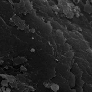cy5标记单层Ti3C2Tx，CY5标记碳化钛单层分散液??