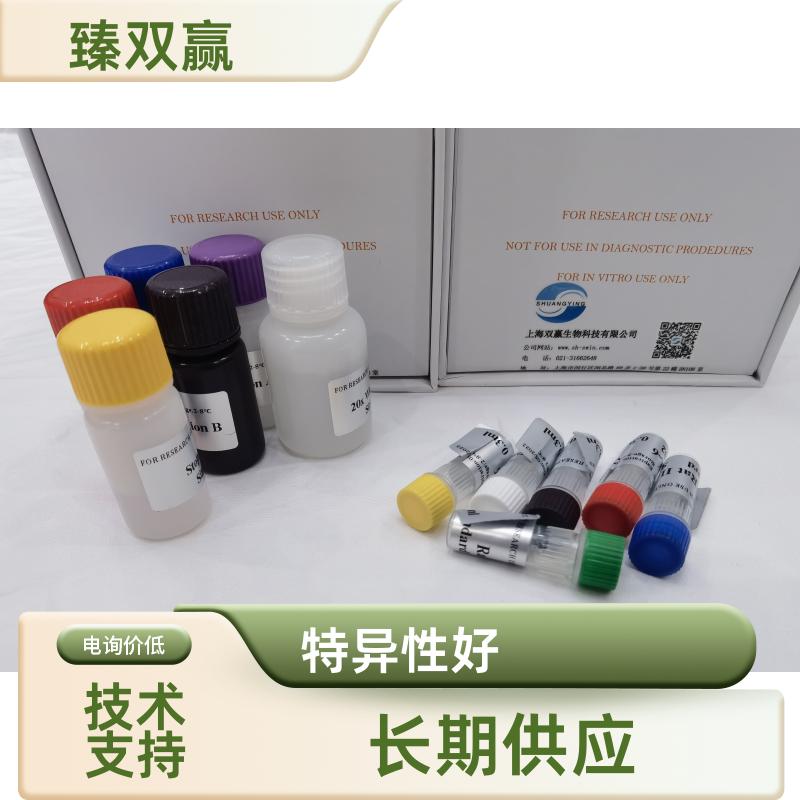 人心钠素(ANP)ELISA试剂盒,Human ANP ELISA KIT
