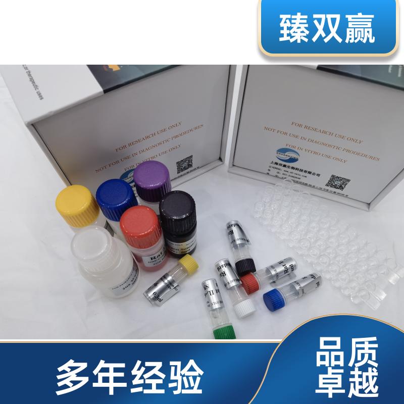人血小板反应蛋白解整合素金属肽酶8(ADAMTS8)ELISA试剂盒,Human ADAMTS8 ELISA KIT