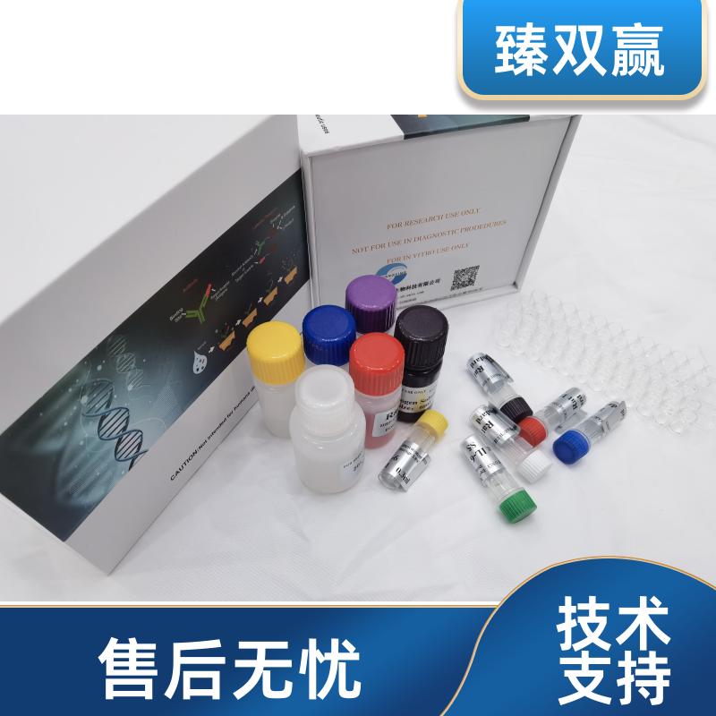 人平滑肌肌动蛋白α2(ACTa2)ELISA试剂盒,Human ACTa2 ELISA KIT