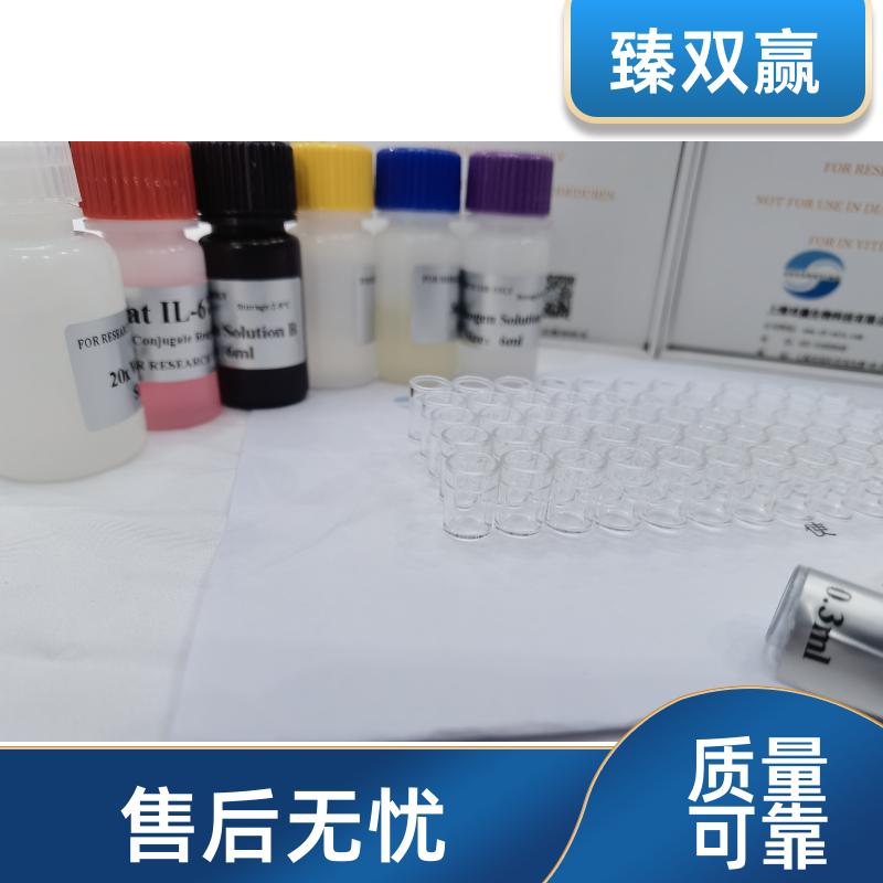 人血小板内皮细胞粘附分子1(PECAM1/CD31)ELISA试剂盒,Human PECAM1;CD31 ELISA KIT