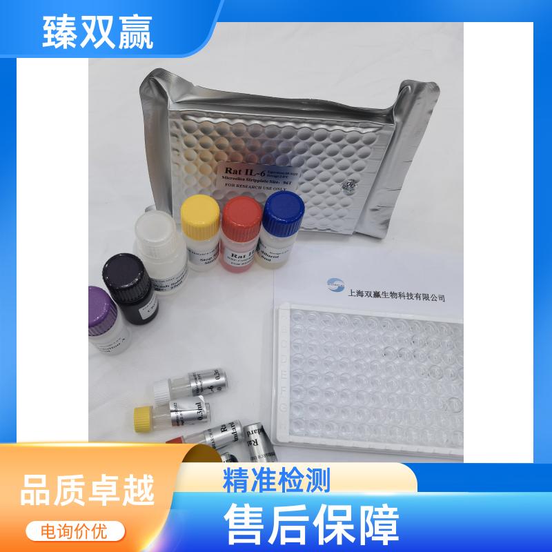 人蜗牛同源物1(SNAI1)ELISA试剂盒,Human SNAI1 ELISA KIT