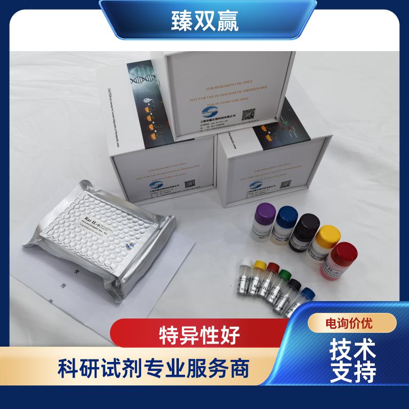 人1433蛋白(1433PR)ELISA试剂盒,Human 1433PR ELISA KIT