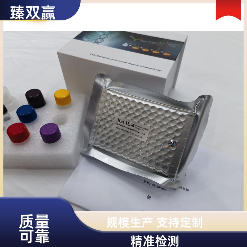 人布鲁东氏酪氨酸激酶(Btk)ELISA试剂盒,Human Btk ELISA KIT