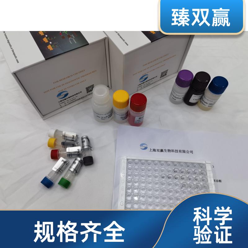 人巨噬细胞炎性蛋白3α(MIP-3α;CCL20)ELISA试剂盒,Human MIP-3α;CCL20 ELISA KIT