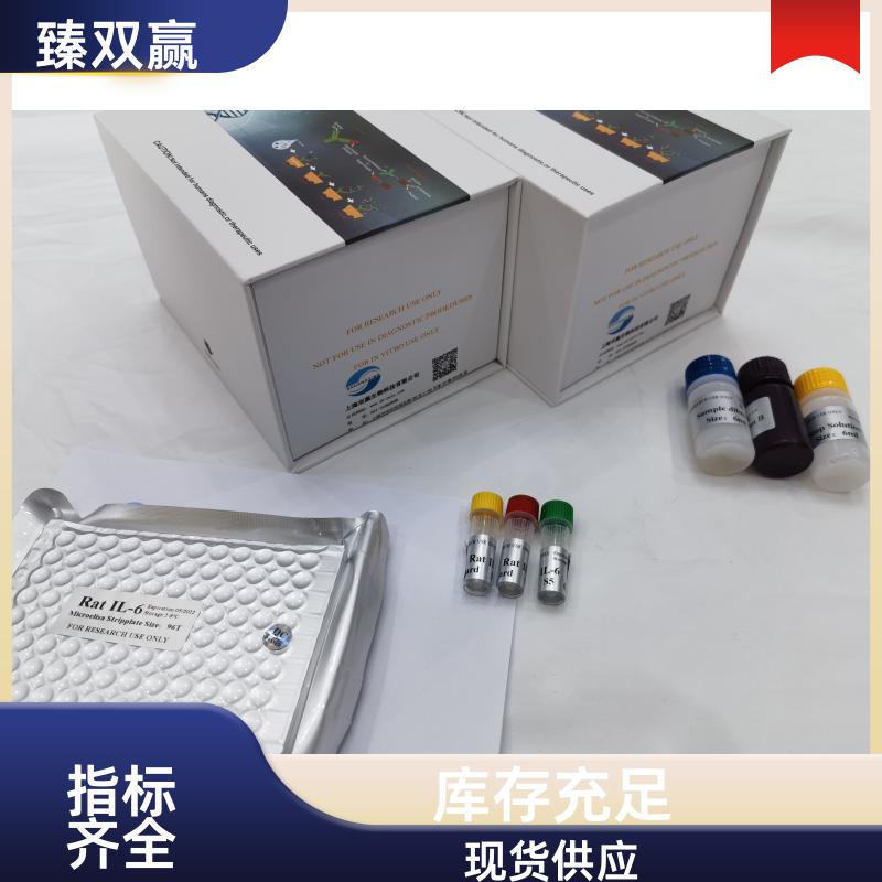 人蛋白激酶Cα(PKCα)ELISA试剂盒,Human PKCα ELISA KIT