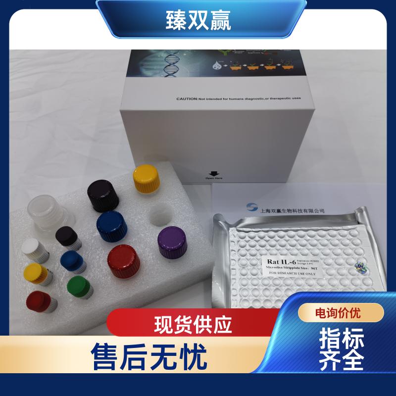 人cGMP依赖性蛋白激酶1(PRKG1)ELISA试剂盒,Human PRKG1 ELISA KIT