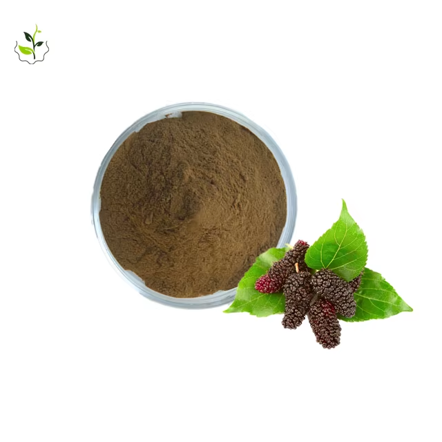 桑叶提取物,Mulberry leaf extract