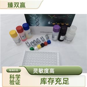 人自噬相关蛋白3(ATG3)ELISA试剂盒