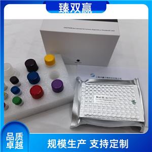人微管相关蛋白轻链3(LC3)ELISA试剂盒,Human LC3 ELISA KIT
