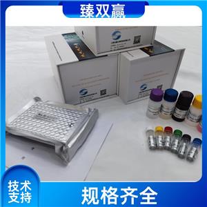 人血小板衍化生长因子CC(PDGF-CC)ELISA试剂盒,Human PDGF-CC ELISA KIT