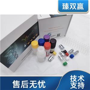 人平滑肌肌动蛋白α2(ACTa2)ELISA试剂盒