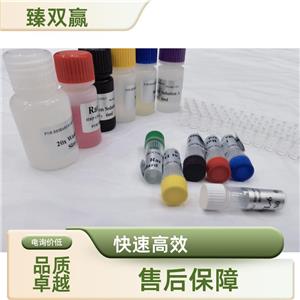 人平滑肌细胞分化特异性抗原(SMTN/SMSMO)ELISA试剂盒,Human SMTN;SMSMO ELISA KIT