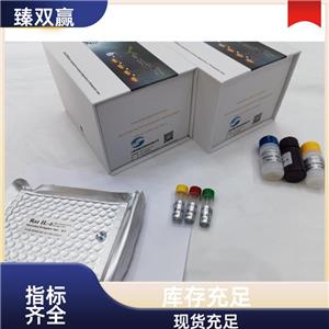 人平滑肌细胞分化特异性抗原(SMTN/SMSMO)ELISA试剂盒,Human SMTN;SMSMO ELISA KIT