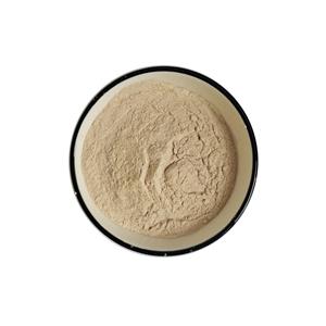 大蒜提取物,garlic extract