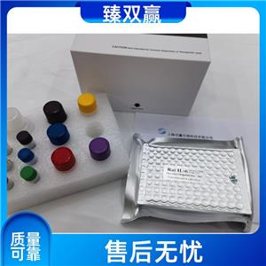 人血小板亲和蛋白1(PKP1)ELISA试剂盒,Human PKP1 ELISA KIT