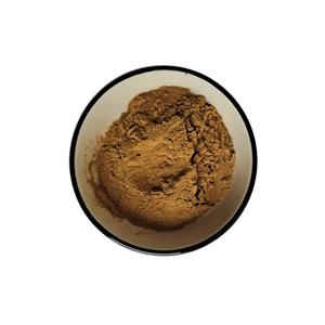 海带提取物,kelp extract