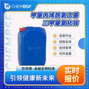 甲基丙烯酰氧乙基三甲基氯化铵,Methacrylatoethyl trimethyl ammonium chloride