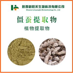 僵蚕提取物,Bombyx Batryticatus extract