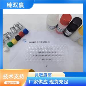 人巨噬细胞炎性蛋白3α(MIP-3α;CCL20)ELISA试剂盒,Human MIP-3α;CCL20 ELISA KIT