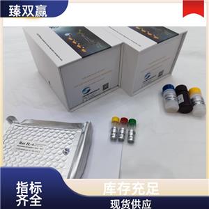 人蛋白激酶Cα(PKCα)ELISA试剂盒,Human PKCα ELISA KIT