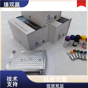 人芳香烃受体(AhR)ELISA试剂盒,Human AhR ELISA KIT