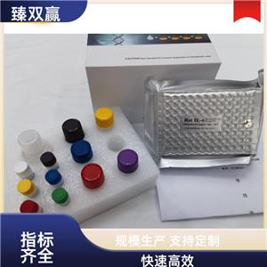 人90kDa热休克蛋白β1(HSP90b1)ELISA试剂盒,Human HSP90β1 ELISA KIT