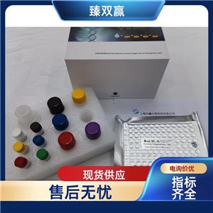 人cGMP依赖性蛋白激酶1(PRKG1)ELISA试剂盒