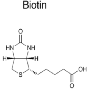 Biotin-4-aminobutyric acid，生物素-4-氨基丁酸