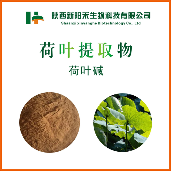 荷叶提取物,lotus leaf p.e.