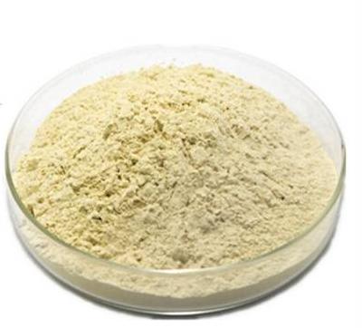 人参总皂苷,Total Ginsenoside