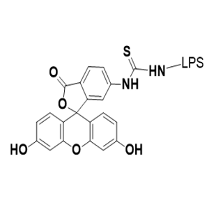 异硫氰酸荧光素标记脂多糖?,FITC-LPS