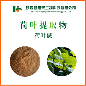 荷叶提取物,lotus leaf p.e.
