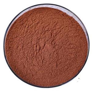 原花青素,Proanthocyanidins