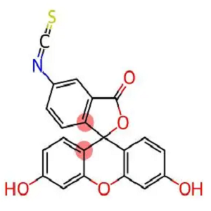 FITC-D精氨酸,FITC-D-Arginine