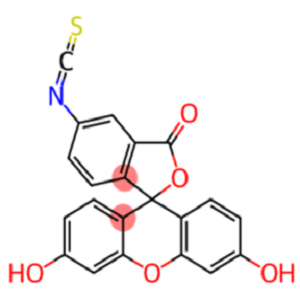 FITC-β-环糊精,FITC-β-Cyclodextrin