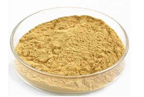 茶多酚,Tea Polyphenols