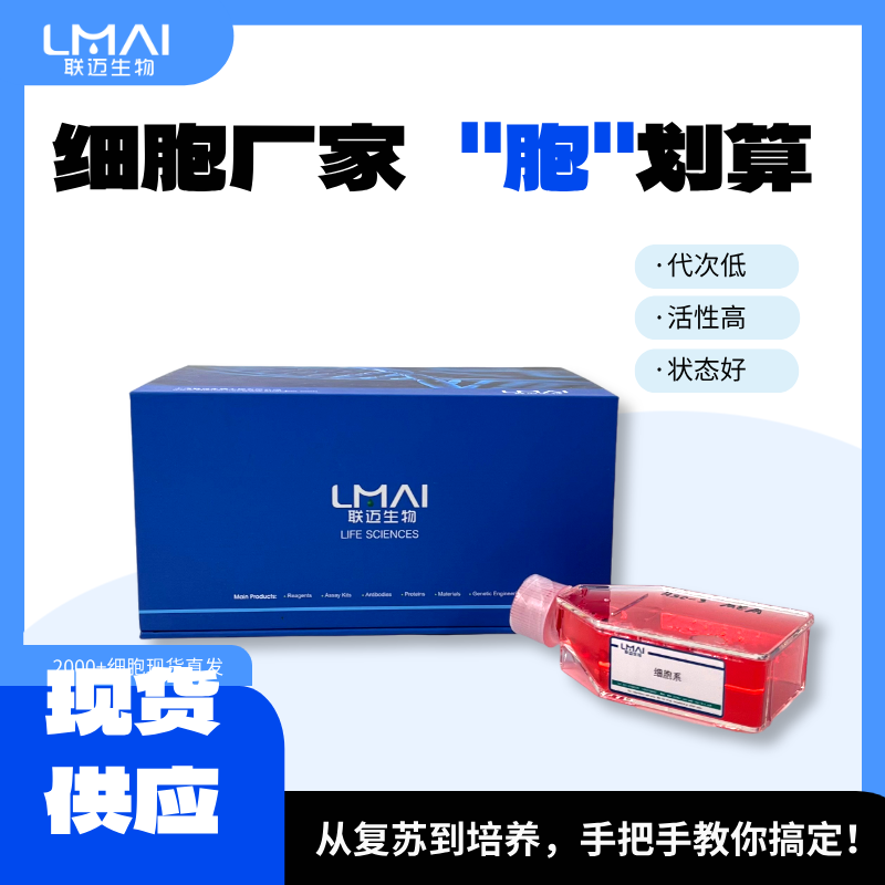 MDA-MB-157细胞（乳腺癌细胞）LM8C0380,MDA-MB-157