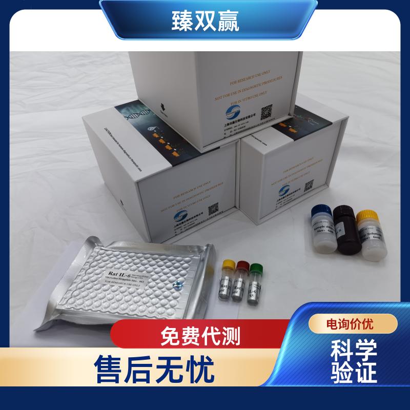 人B细胞淋巴瘤/白血病11B(BCL11B)ELISA试剂盒,Human BCL11B ELISA KIT