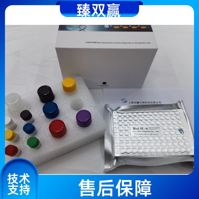 人C1q肿瘤坏死因子相关蛋白9(CTRP9)ELISA试剂盒,Human CTRP9 ELISA KIT