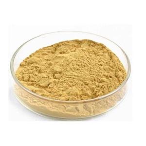 茶多酚,Tea Polyphenols