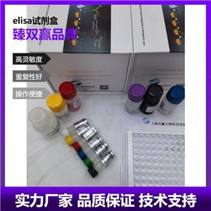 人ATP结合盒亚家族G成员2(ABCG2)ELISA试剂盒