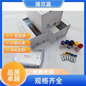 人ATP结合盒亚家族G成员2(ABCG2)ELISA试剂盒,Human ABCG2 ELISA KIT