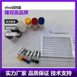 人AXL受体酪氨酸激酶(AXL)ELISA试剂盒,Human AXL ELISA KIT