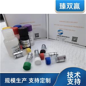 人B-淋巴细胞趋化因子1(BLC-1;CXCL13)ELISA试剂盒