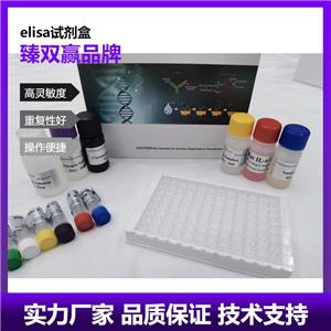 人B-细胞淋巴瘤因子2样蛋白(Bcl2L)ELISA试剂盒,Human Bcl2L ELISA KIT