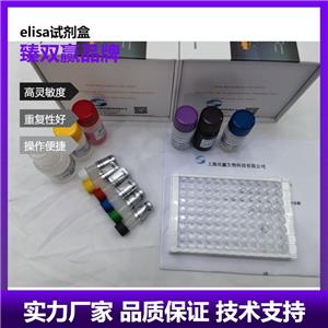 人脂肪储存诱导跨膜蛋白1(FITM1)ELISA试剂盒,Human FITM1 ELISA KIT