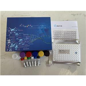 β-内酰胺类抗生素检测试剂盒,Drug residue test kit