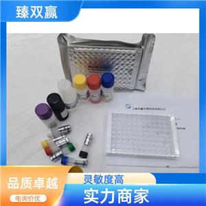 人胰岛素样生长因子酸不稳定亚基(IGFALS)ELISA试剂盒,Human IGFALS ELISA KIT